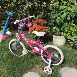 Meet your Posher, Ellen